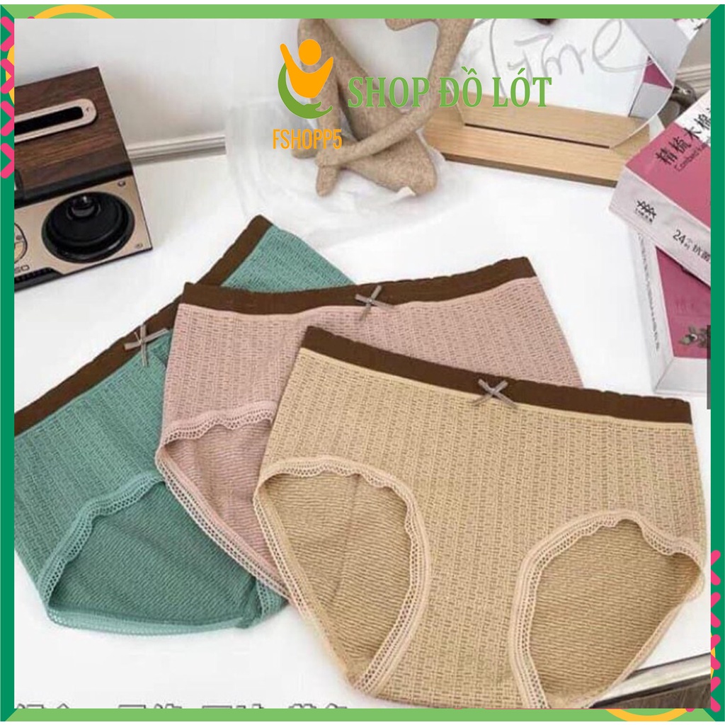 SET 3 Quần Lót Nữ Dệt Kim Cotton kháng khuẩn thoáng mát đính nơ xinh tôn vòng 3 gợi cảm mẫu LOTNU12