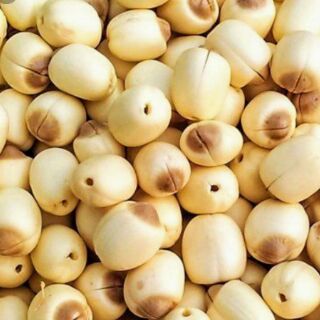 HẠT SEN KHÔ ĐẶC SẢN MIỀN VƯỜN HUẾ