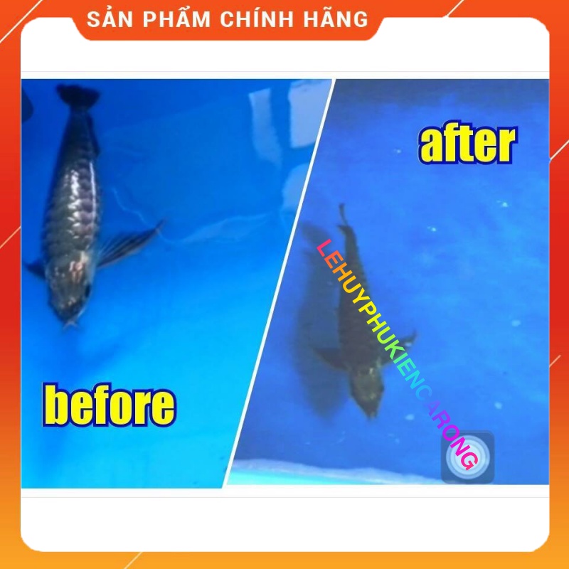 Aqua H Chống Sốc và Cấp Cứu Khẩn Cấp Cho Cá Rồng Hàng Chính Hãng Thái Lan