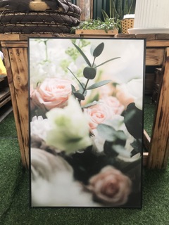 Tranh canvas 1 bức 40x60