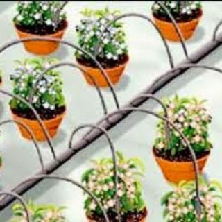 Tưới nhỏ giọt capinet cho hoa chậu Netafim (10 bộ)