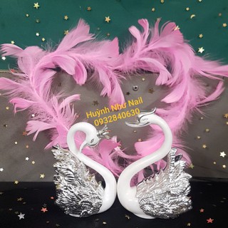 THIÊN NGA CHỤP ẢNH - 1 ĐÔI(2 CON)