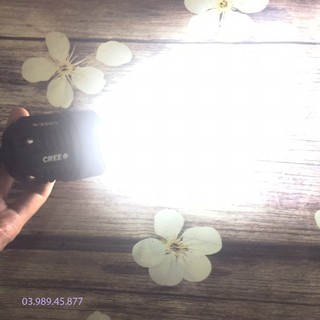ĐÈN LED - ĐÈN LED