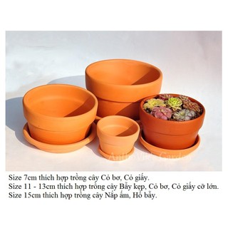 Chậu đất nung trồng cây