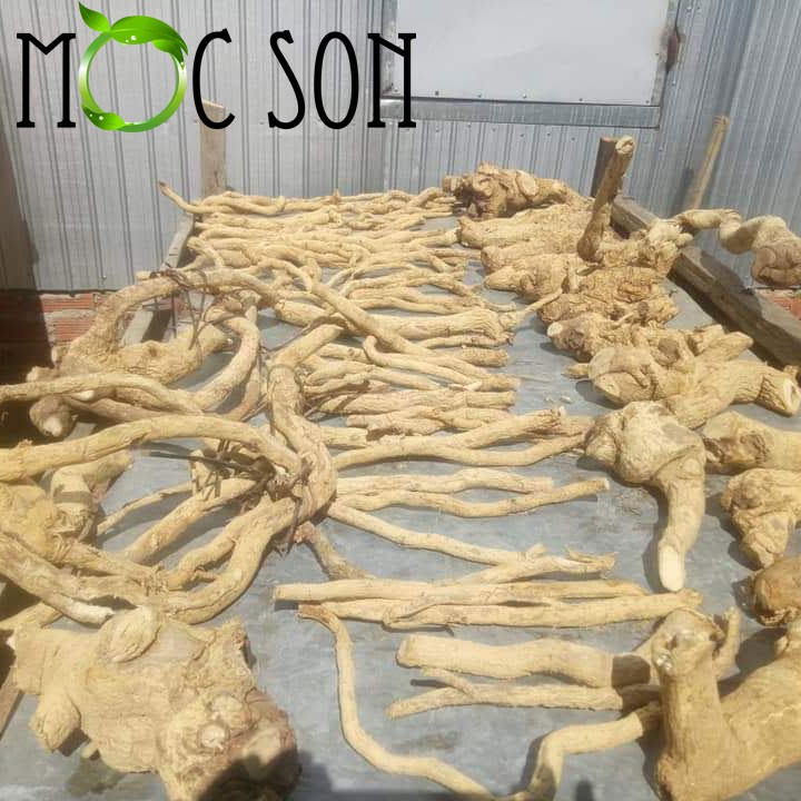 500G XÁO TAM PHÂN MỘC SƠN (HÀNG RỪNG)