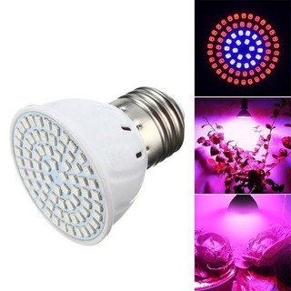 1 Bóng Đèn Trồng Cây 60 Led