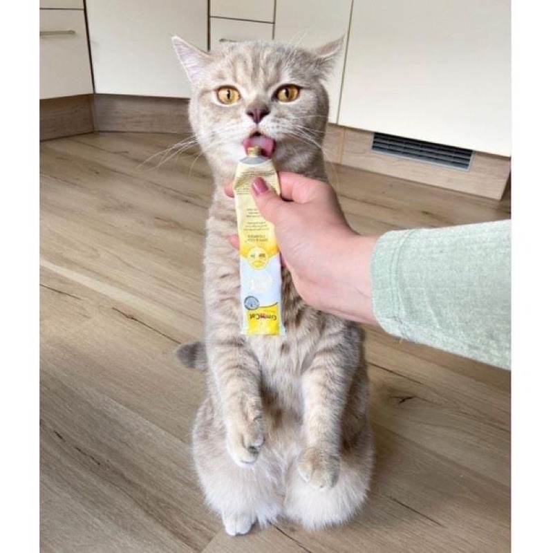 [ Tuýp lớn 200g ] Gel Dinh Dưỡng Bổ Sung Biotin Vị Phô Mai Cho Mèo Gimcat – Gimcat Cheese Biotin Paste