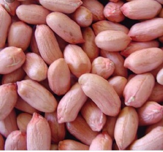 Đậu phộng Hà Tĩnh