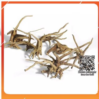 Lũa thô trang trí cho bể cá cảnh