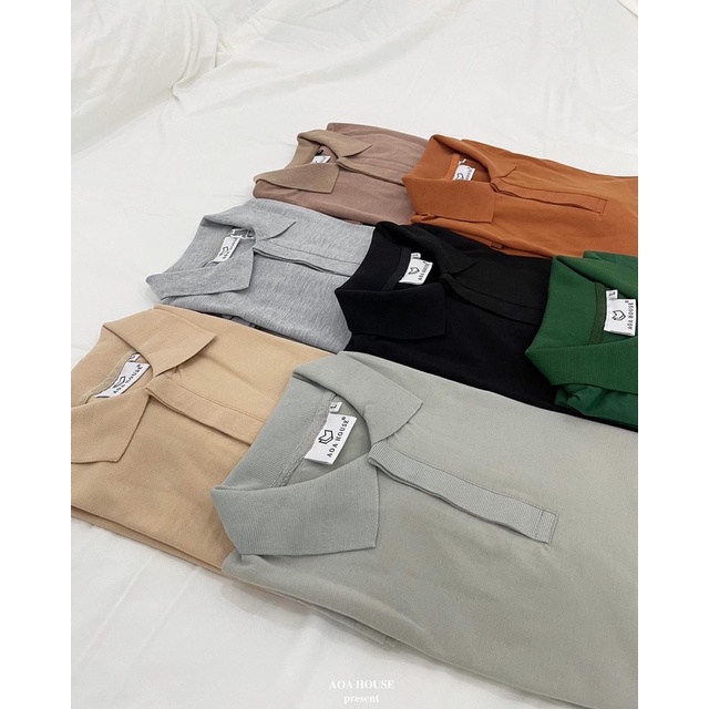 Áo Thun Polo - The Polo Hidden (8color)