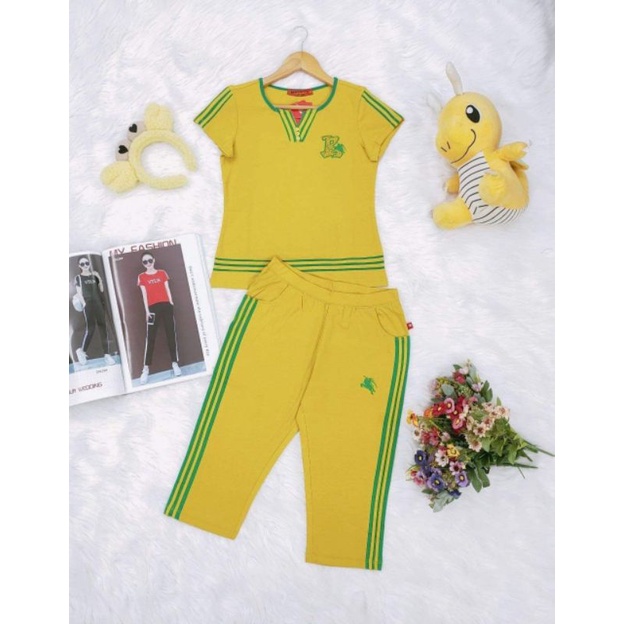 Bộ mặc nhà cotton hãng Saigon new