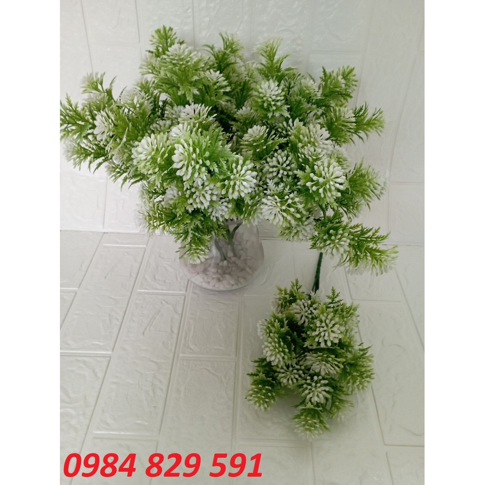 Cụm điểm hoa hồng, điểm hoa bưởi, điểm hoa đá, điểm hoa dương xỉ