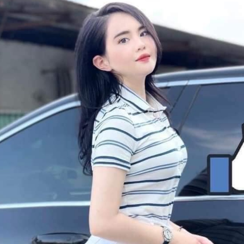 Áo polo nữ thêu hình cá sấu ngực kẻ trắng cotton Yukago