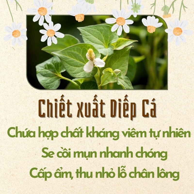 Mặt nạ diếp cá Ả Đào Mộc Nhan Natural 50gr