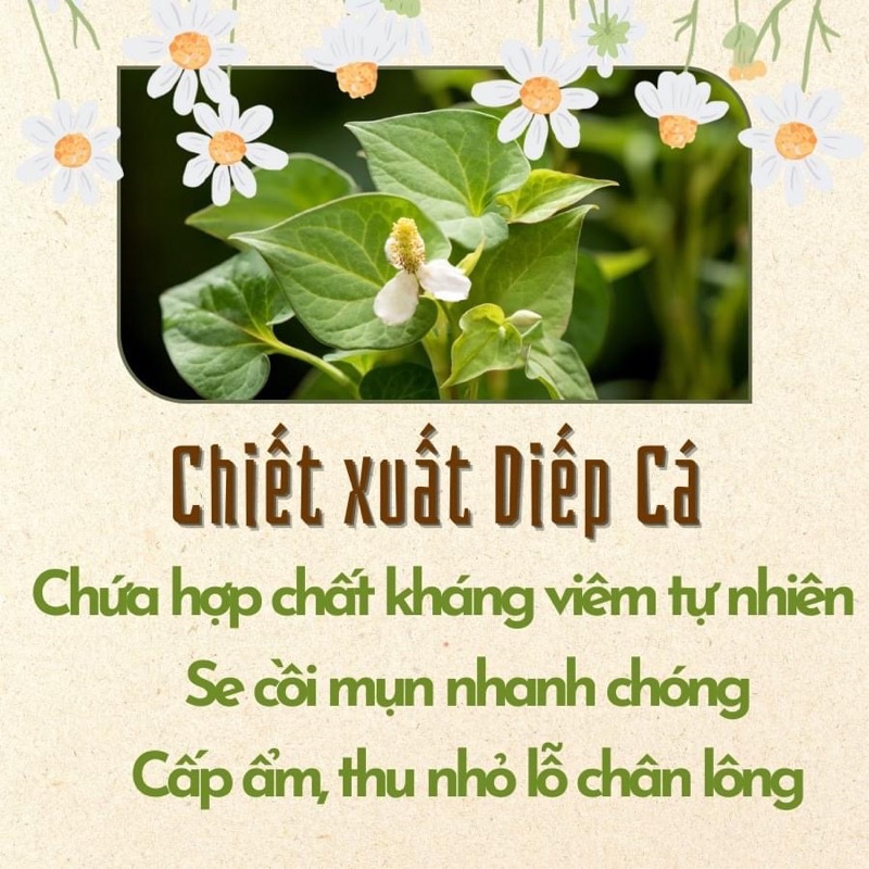 Mặt nạ diếp cá Ả Đào Mộc Nhan Natural ngăn ngừa mụn nám,tàn nhang 50gr