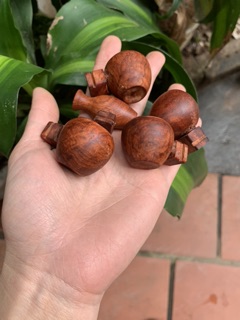 Bộ cóng  khuyên