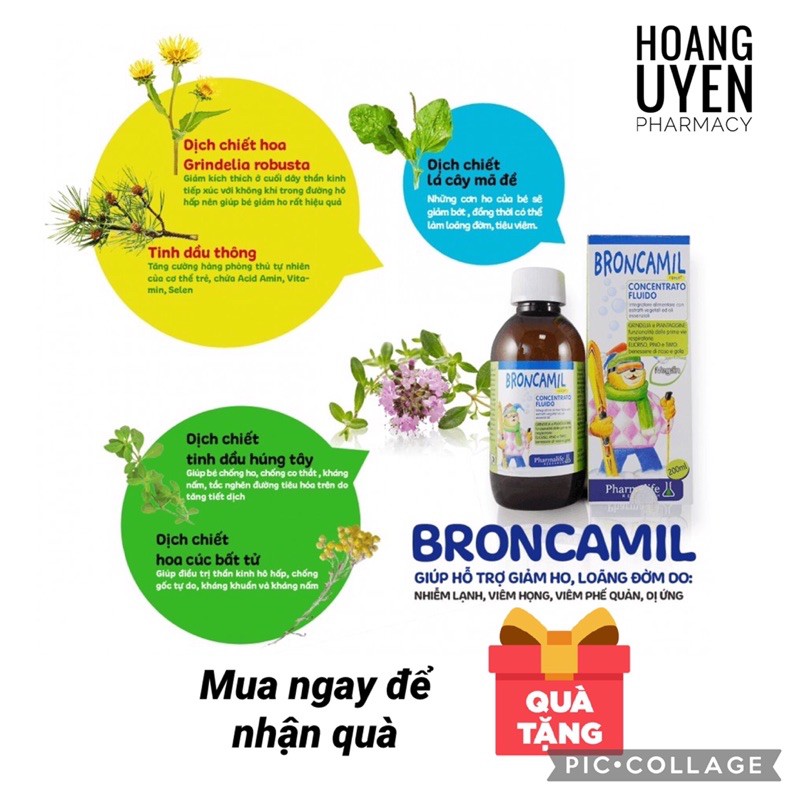 Siro ho thảo dược Fitobimbi Broncamil 200ml