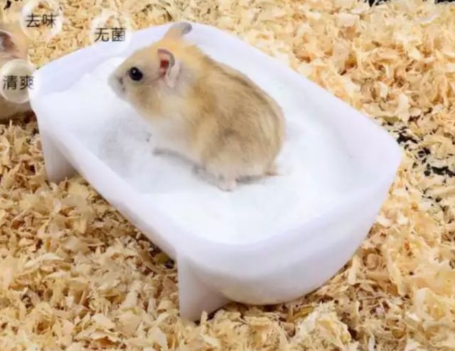 Cát tắm thơm cho Hamster gói 1kg [nhiều mùi hương]
