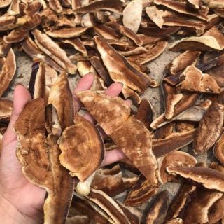Sỉ toàn quốc giá rẻ nấm linh chi rừng hồng chi thái lát 500g - 1kg