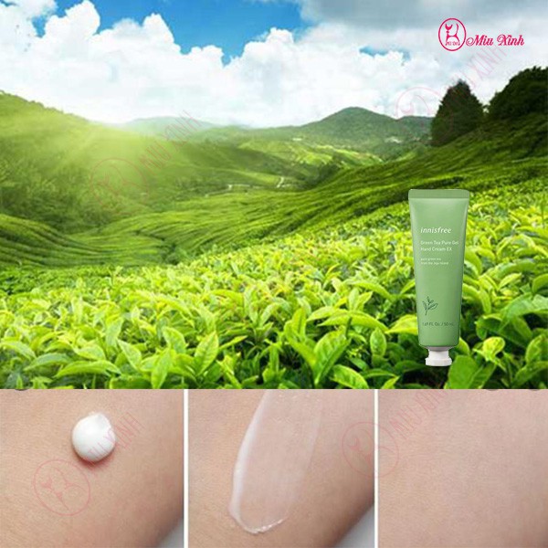 Kem Dưỡng Da Tay Trà Xanh [INNISFREE]  Green Tea Pure Gel Hand Cream EX 50ml