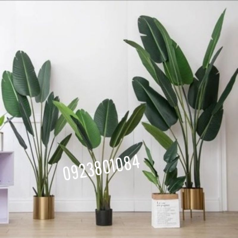 Cây Chuối Giả 1m2 trang trí Decor-Cây giả