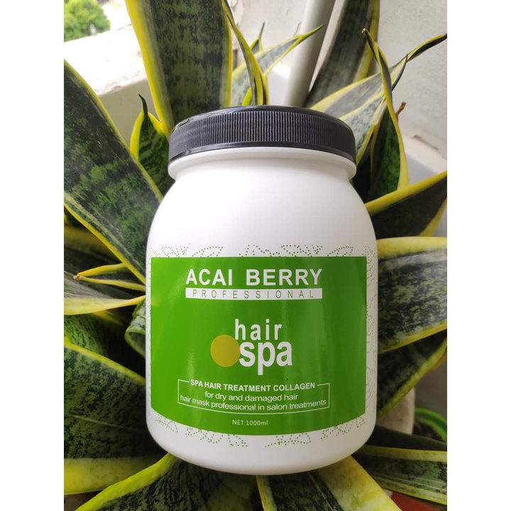 Hấp dầu phục hồi Acai Berry Spa Hair Treatment Collagen 1000ml (Pháp)