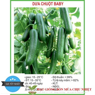 Hạt Giống Dưa Chuột Baby - 10 hạt