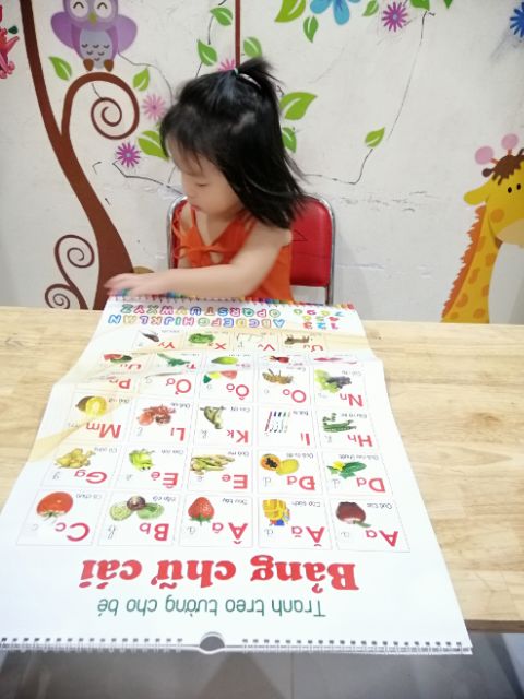 Bộ 12 tranh treo tường gồm 14 chủ đề
