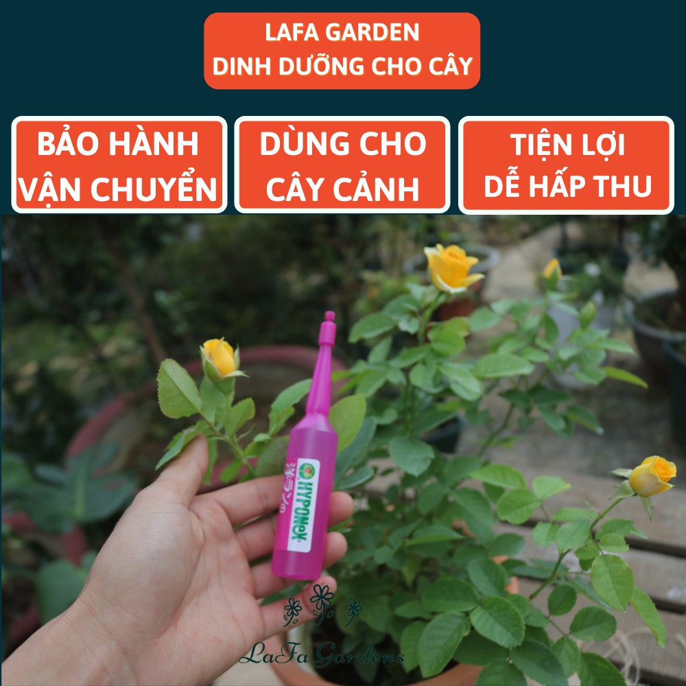 Phân tan chậm Hyponex, ống phân dinh dưỡng cây hoa lan, kiểng lá 1 ống 35ml