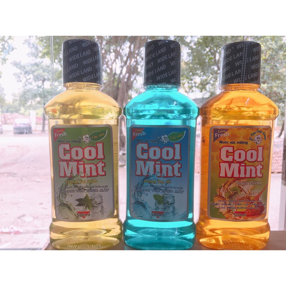 NƯỚC SÚC MIỆNG COOL MINT 500ML