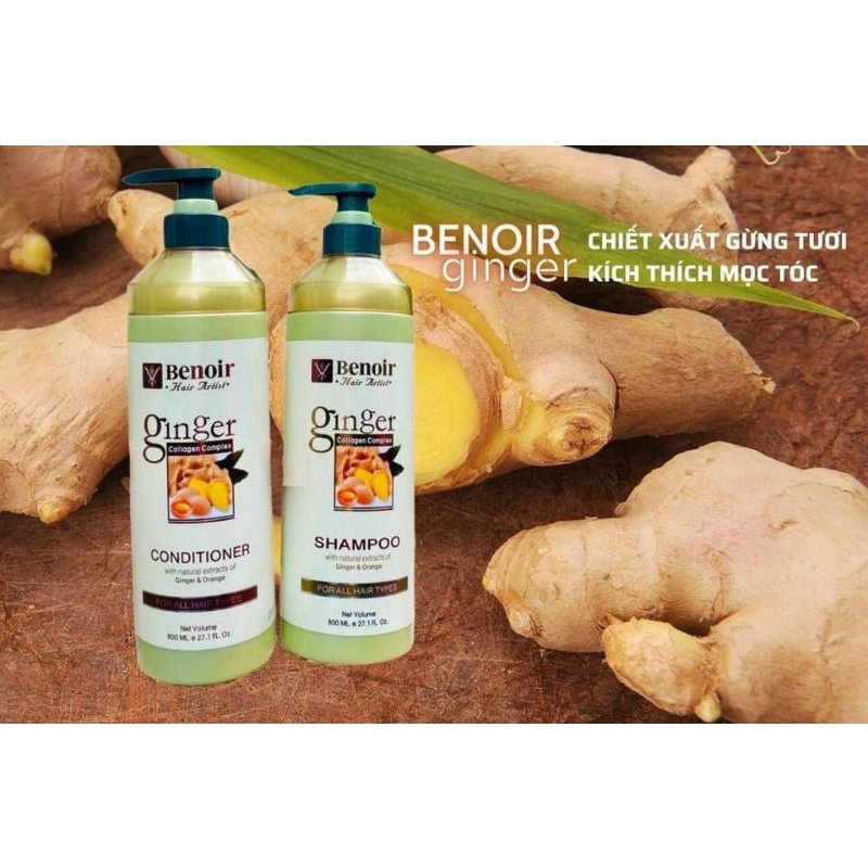 Dầu gội xả GINGER OLAP 750ml