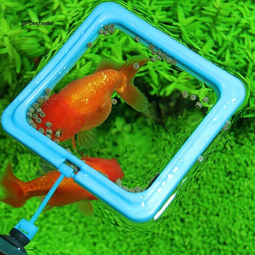 Phao nổi cho cá ăn tiện lợi chuyên dùng