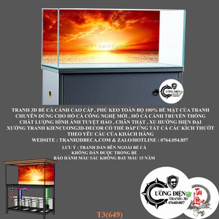 Tranh 3d dán bể cá trang trí bể cá nhiều kích thướt chọn lựa