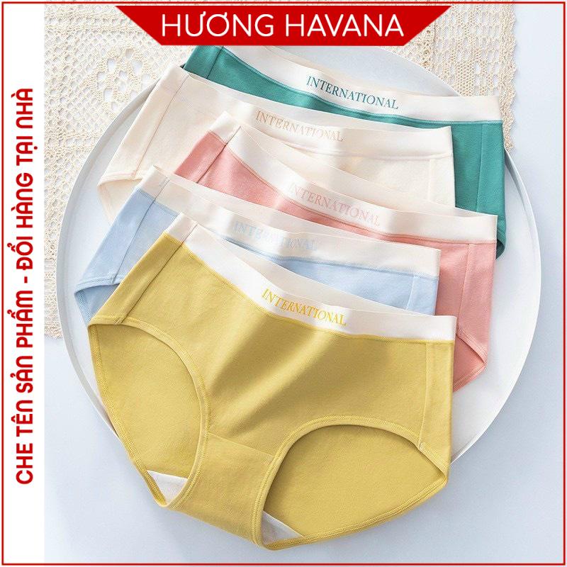 Quần lót nữ cotton lì INTENATIONAL cạp su - Quần chip nữ cao cấp Havana FLQ130 | WebRaoVat - webraovat.net.vn