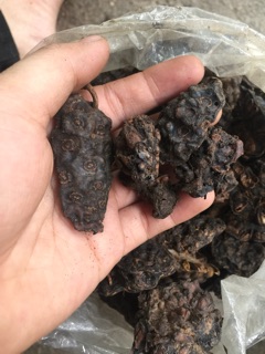 Quả Nhàu 1kg