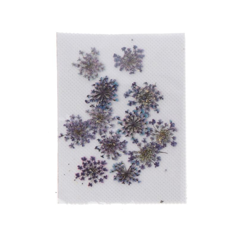 Set 12 Hoa Khô Trang Trí