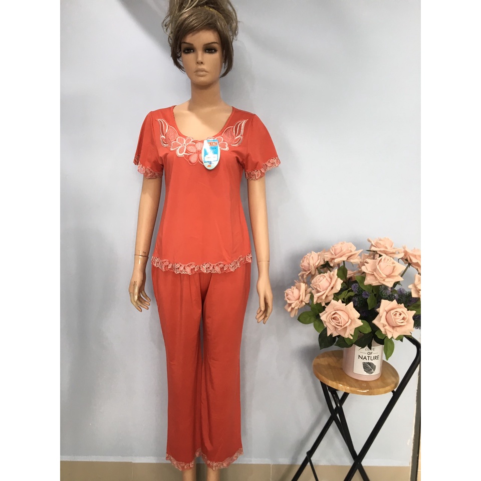 Bộ quần áo nữ ngủ mặc nhà cộc tay, quần dài thun lạnh Paltal 13158 | BigBuy360 - bigbuy360.vn