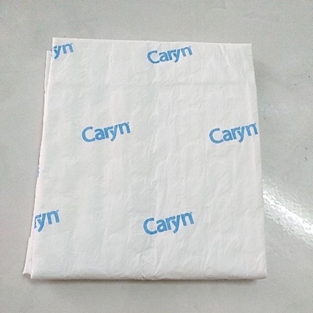 [GIÁ SỈ THÙNG 4-8 GÓI] Tấm Đệm Lót Caryn size L10/L20/XL14 miếng