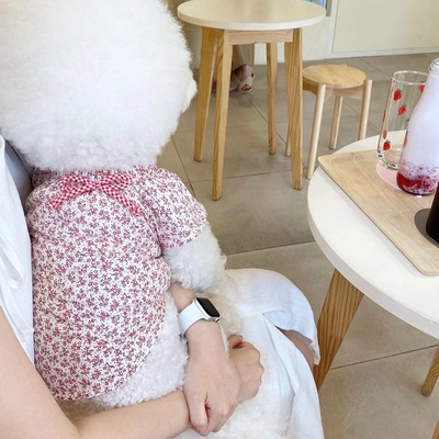 Áo tay bèo hoa nhí dành cho thú cưng