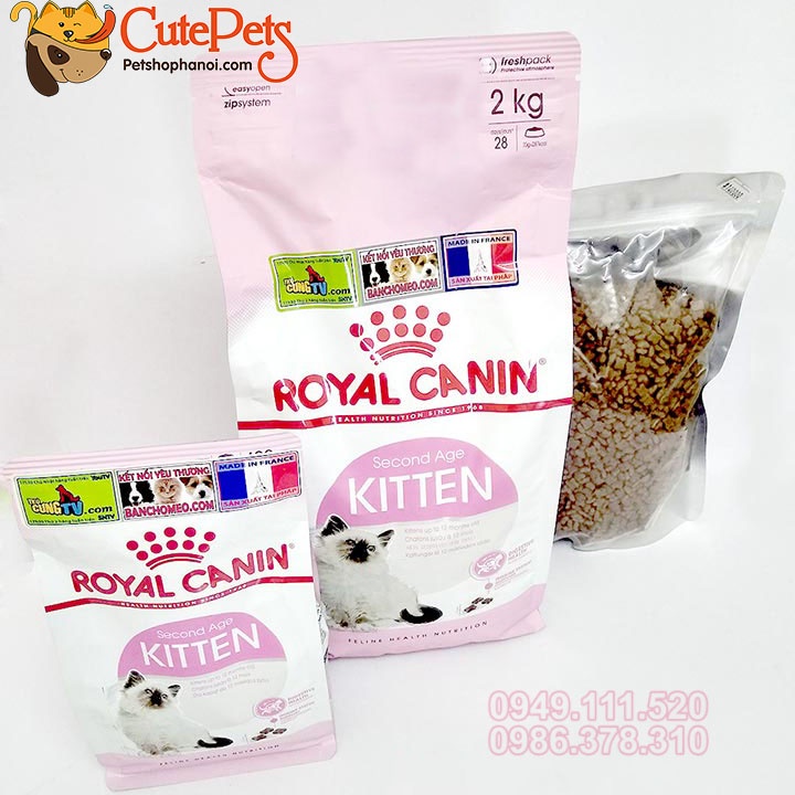 Thức ăn cho mèo, Hạt Royal Canin mèo con Kitten 36 túi hãng 2kg - Phụ kiện thú cưng Hà Nội