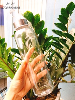Bình detox thuỷ tinh