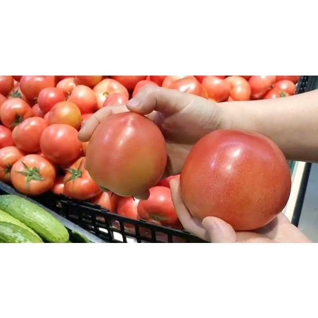 Cà Chua tươi ngon - giao hỏa tốc Hà Nội 1h