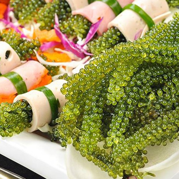 Rong Nho Tách Nước 100% Natural Hàng Công Ty Check Thông Tin Qua Mã Vạch | BigBuy360 - bigbuy360.vn