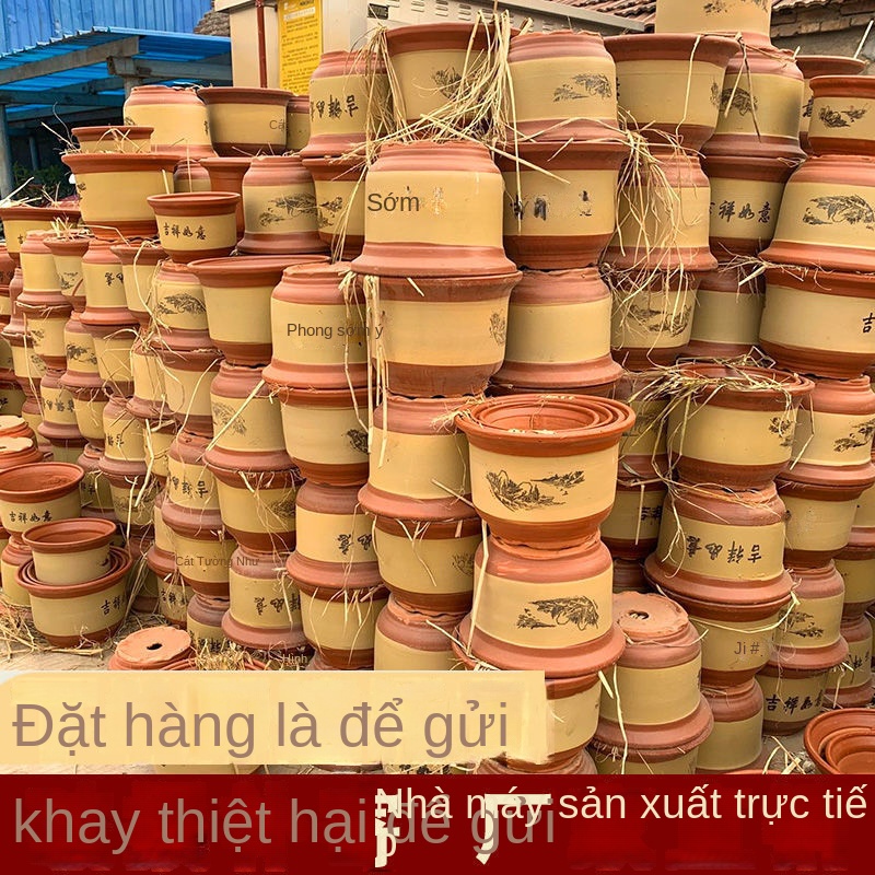 Chậu Trồng Hoa Phong Lan Bằng Gốm Sứ Cỡ Lớn Kèm Khay Đỡ