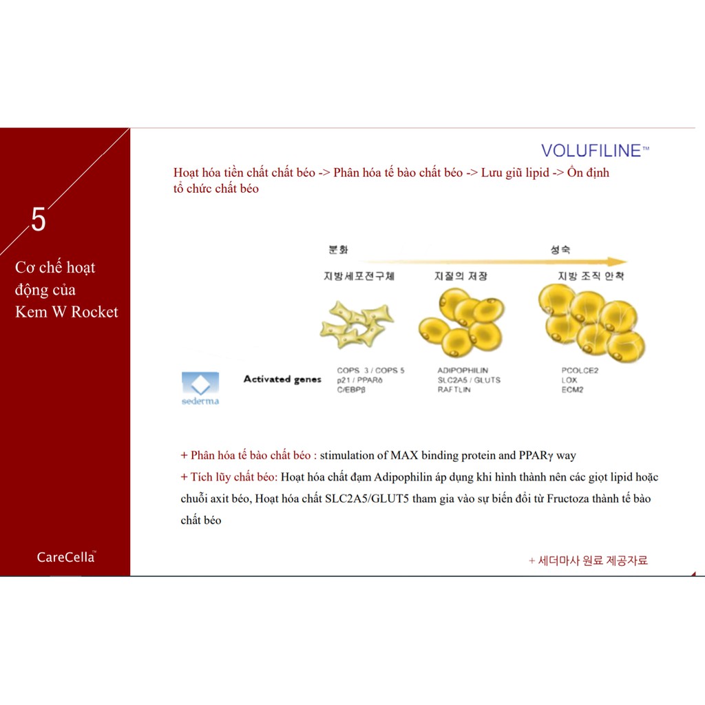 Kem Nở ngực Upsize  Rocket Cream | BigBuy360 - bigbuy360.vn