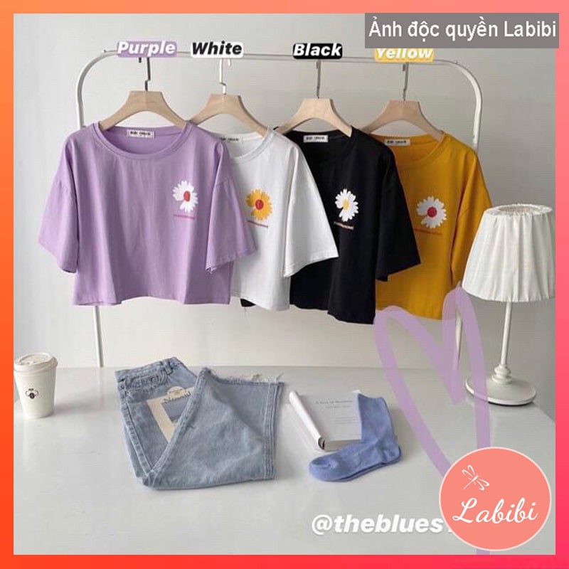 [Mã WASTUP giảm 10% tối đa 30K đơn 99K] Áo Croptop Hoa Cúc - Áo Thun Nữ Hoa Cúc Nhiều Màu