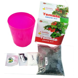 Bộ dụng cụ trồng cà chua- Tomato grow kit