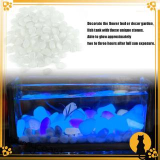 Sỏi Dạ Quang Trang Trí Bể Cá