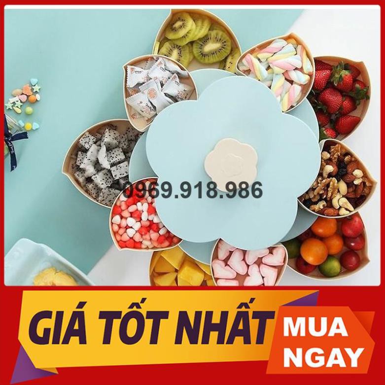 🎈 Hộp Đựng Bánh Kẹo Mứt Tết Xoay Tròn Nở Hoa 5 Cánh 2 Tầng Đẹp Cao Cấp Giá Gốc Sỉ Rẻ 💙 Tổng Kho Gia Dụng Vũng Tàu 💙