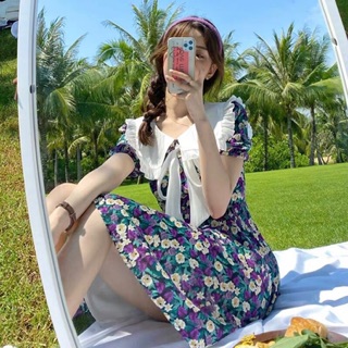 ĐẦM HOA TÍM - VÀNG - XANH CỔ BÈO